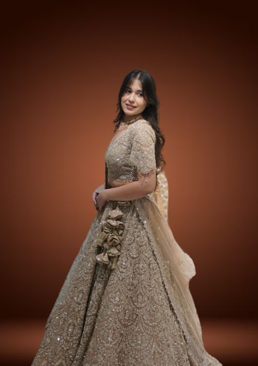 Champagne Gold Net Chaniya Choli with Sequin & Tikki Work