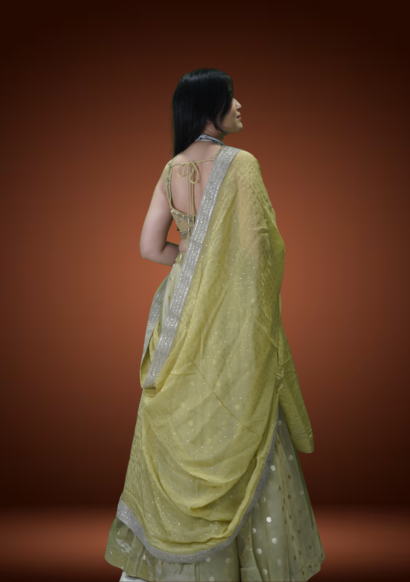 Pista Glow Banarasi Tissue Chaniya Choli with Pita Zardozi Work