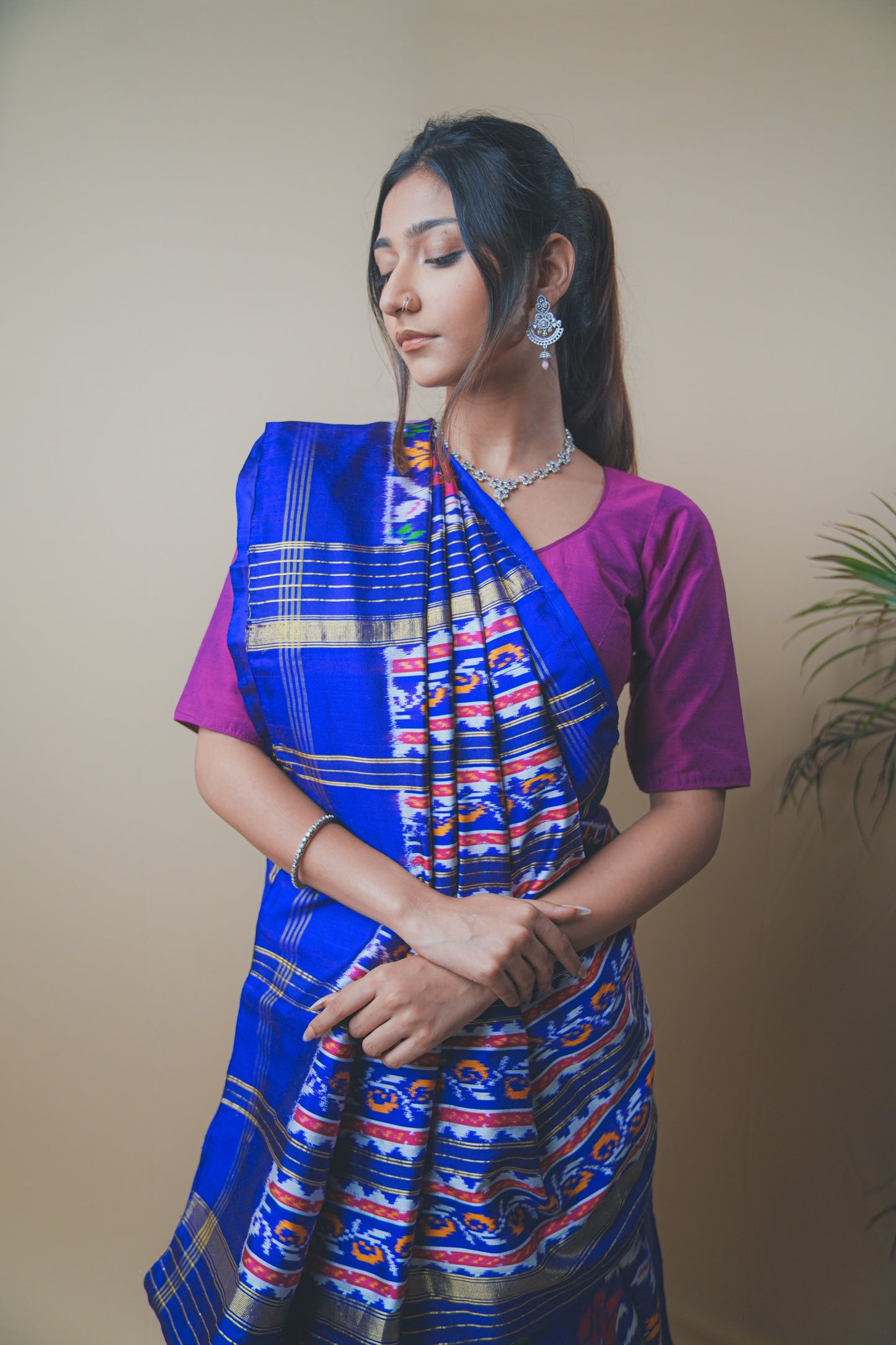 Multicolor Hyderabadi Patola Ikat Silk Saree