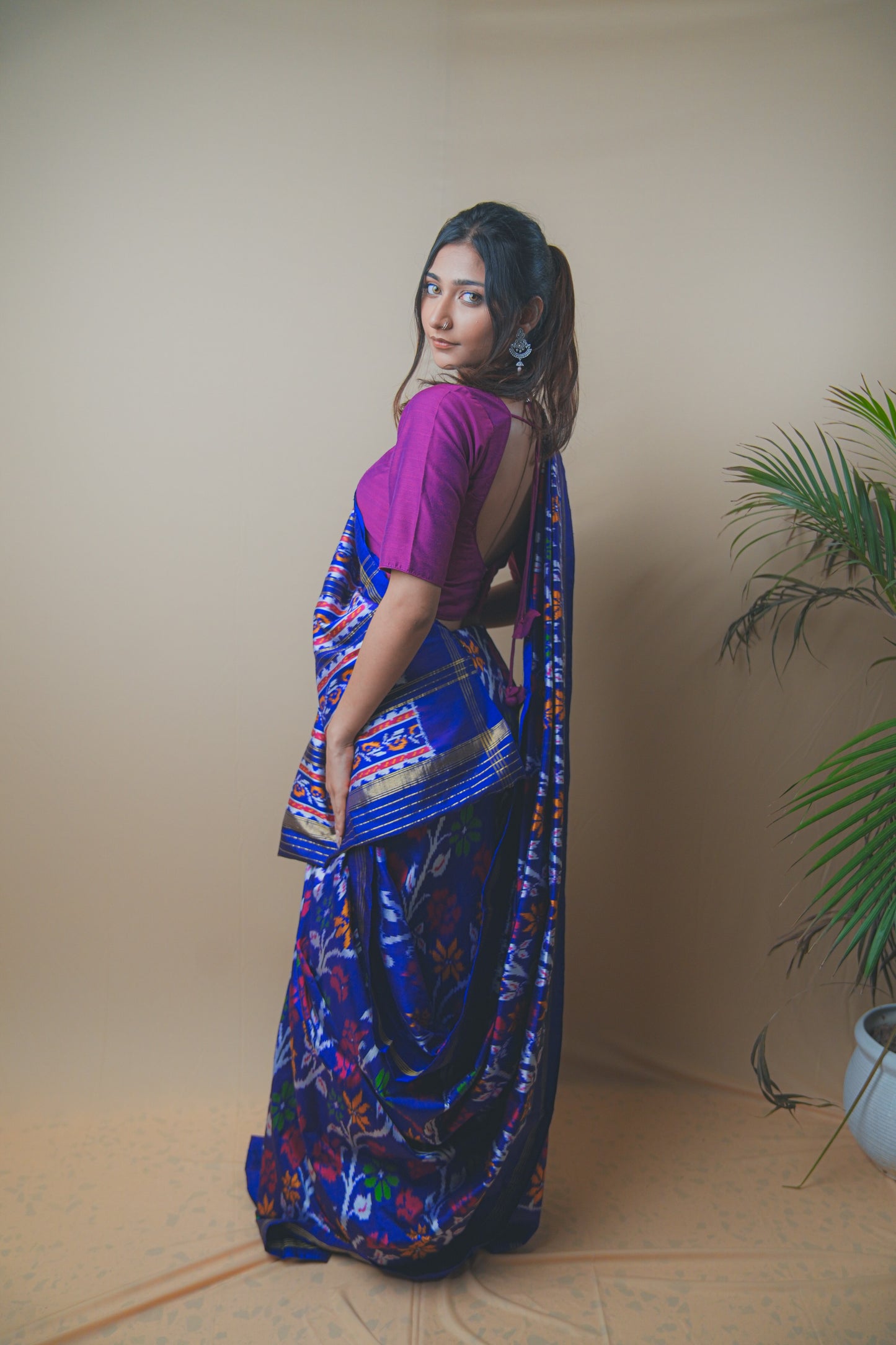 Multicolor Hyderabadi Patola Ikat Silk Saree