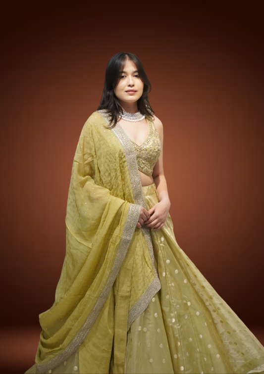 Pista Glow Banarasi Tissue Chaniya Choli with Pita Zardozi Work