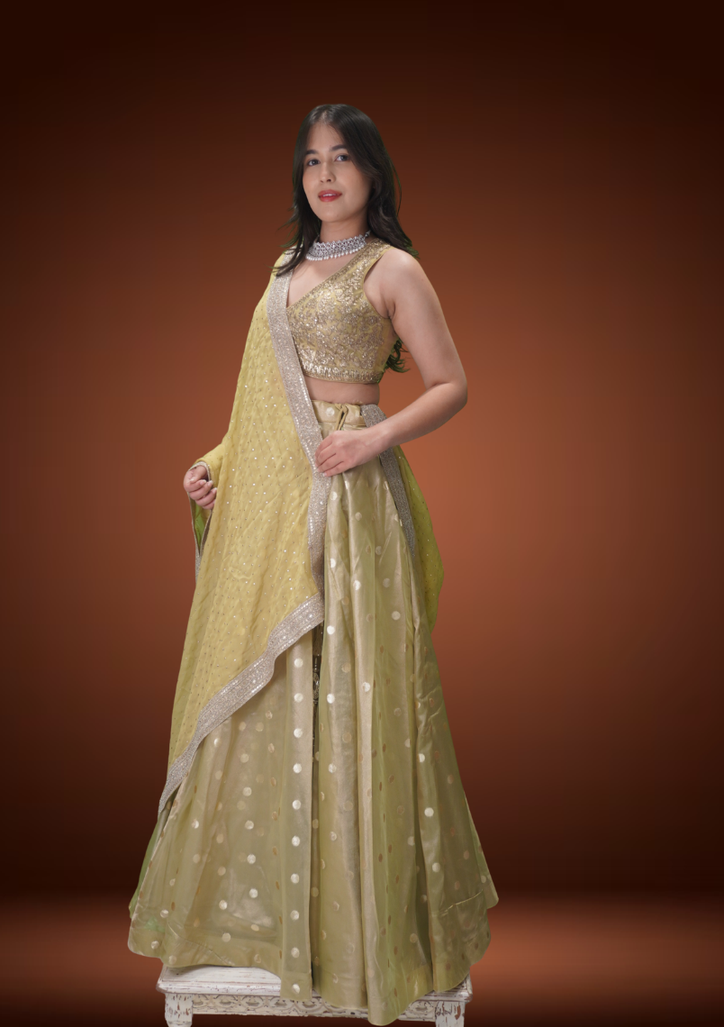 Pista Glow Banarasi Tissue Chaniya Choli with Pita Zardozi Work