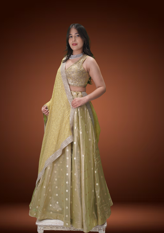 Pista Glow Banarasi Tissue Chaniya Choli with Pita Zardozi Work