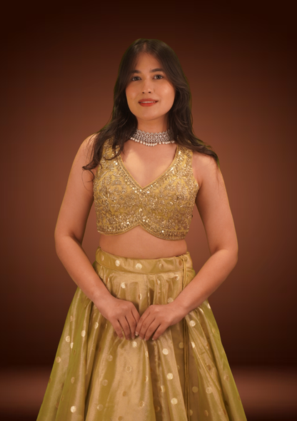Pista Glow Banarasi Tissue Chaniya Choli with Pita Zardozi Work