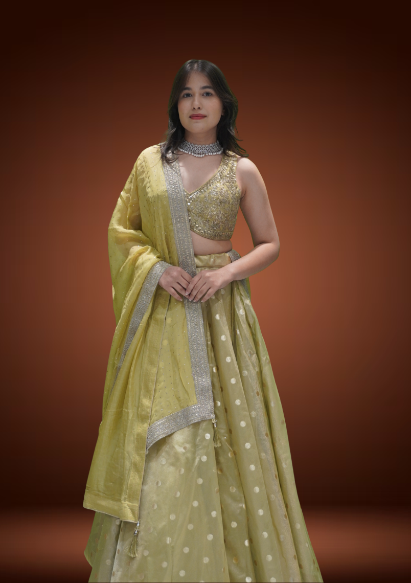 Pista Glow Banarasi Tissue Chaniya Choli with Pita Zardozi Work