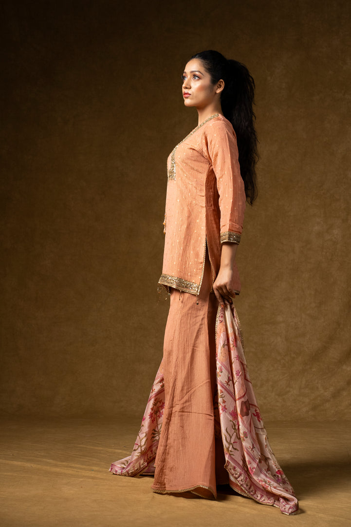 Peach Embroidered Sharara Set