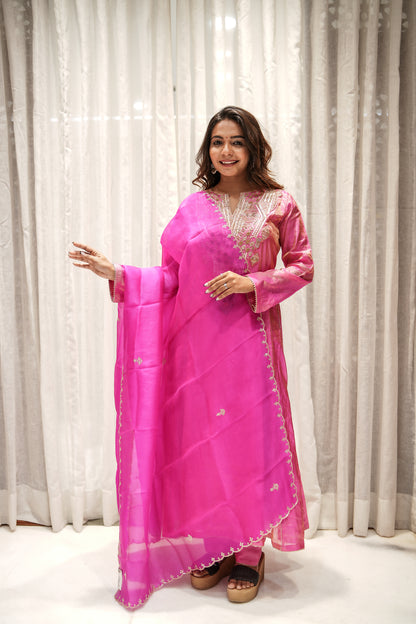 Rani Glow Banarasi Tissue Anarkali Set with Dupatta