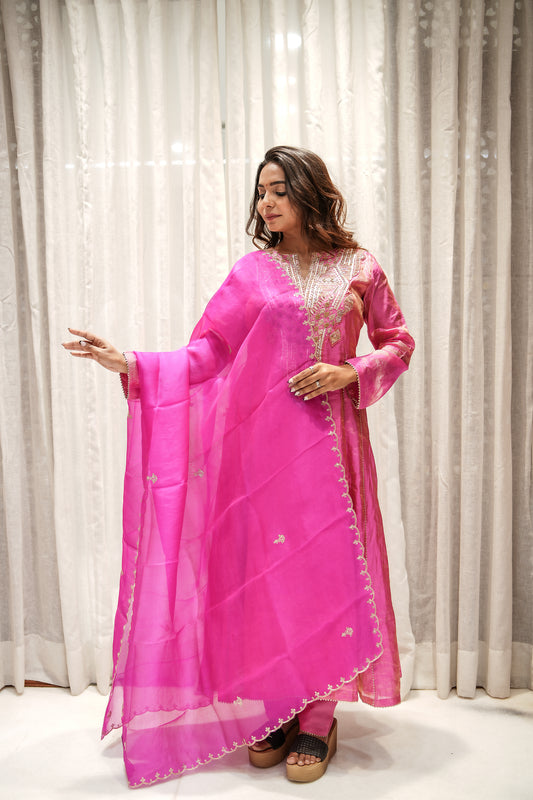 Rani Glow Banarasi Tissue Anarkali Set with Dupatta