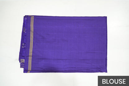 Multicolor Hyderabadi Patola Ikat Silk Saree