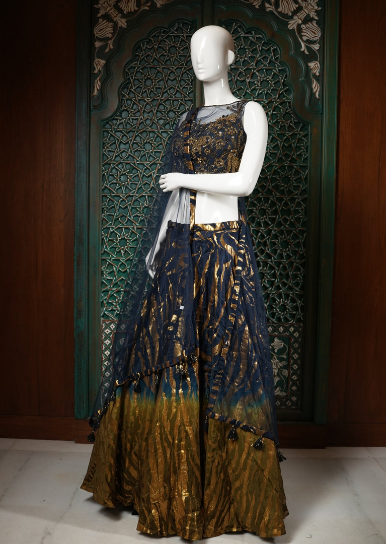 Navy Blue and Gold Zari Work Lehenga Choli