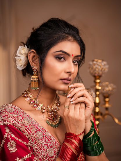 Royal Satin Silk Saree with Exquisite Jardosi Work