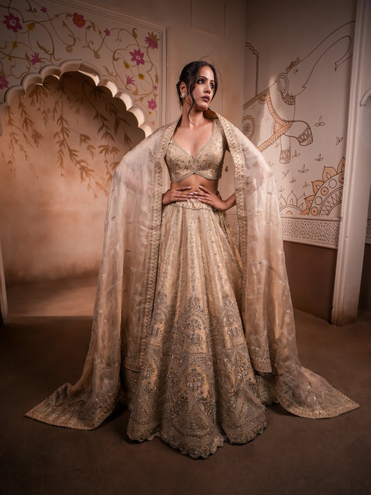 Elegant Tissue Silk Lehenga with Tanchoi & Kardana Work – Stitched Blouse & Single Dupatta
