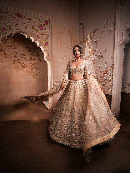 Elegant Tissue Silk Lehenga with Tanchoi & Kardana Work – Stitched Blouse & Single Dupatta