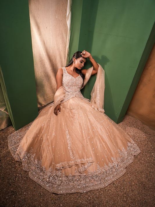 Graceful Organza Silk Gown with Sequin Embellishments & Dupatta