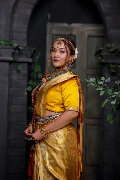 Golden Radiance Kanjivaram Tissue Silk Saree